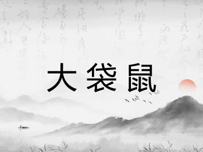 大袋鼠