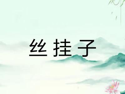 丝挂子