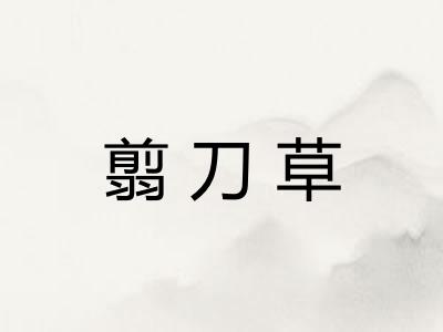 翦刀草