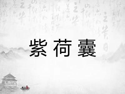 紫荷囊