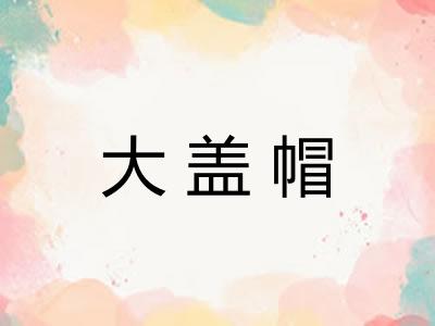 大盖帽