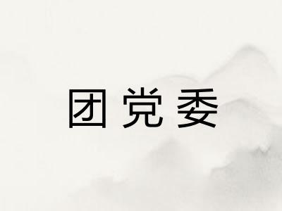 团党委
