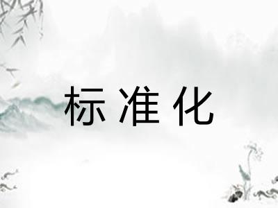 标准化