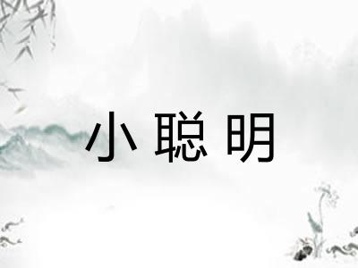 小聪明