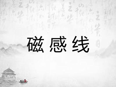 磁感线