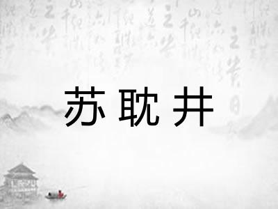 苏耽井
