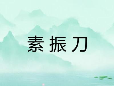 素振刀