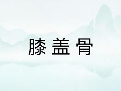 膝盖骨