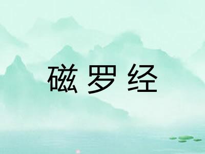 磁罗经 磁罗经