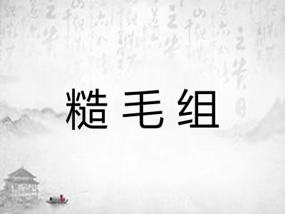 糙毛组