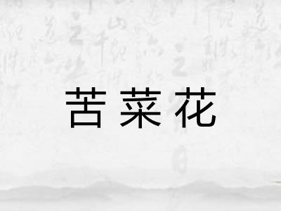 苦菜花