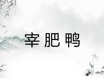 宰肥鸭