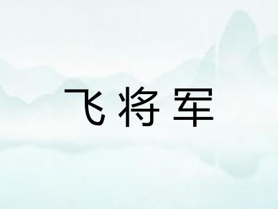 飞将军 飞将军
