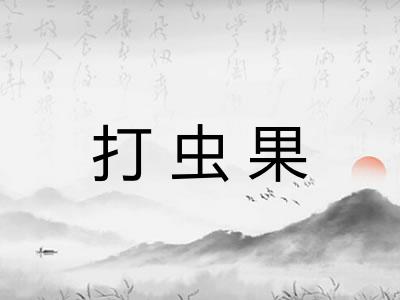 打虫果 打虫果