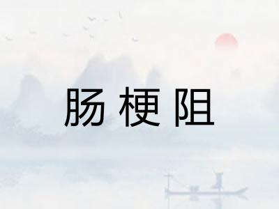 肠梗阻