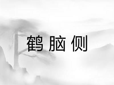 鹤脑侧