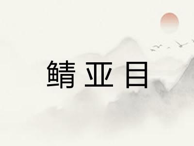 鲭亚目