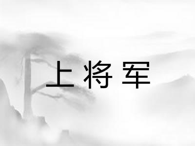 上将军 上将军