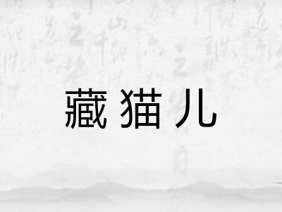 藏猫儿