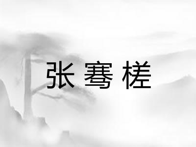 张骞槎
