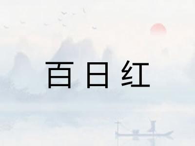 百日红