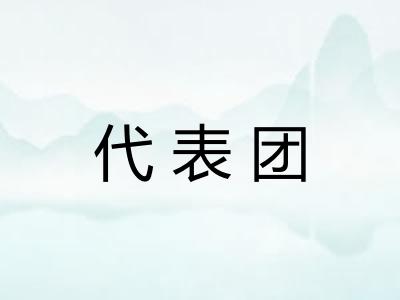 代表团