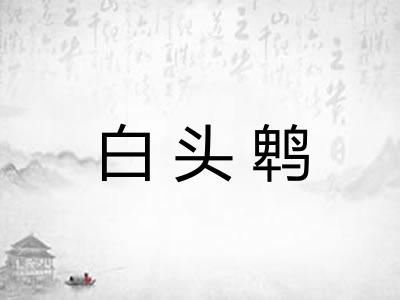 白头鹎