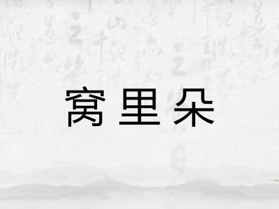 窝里朵