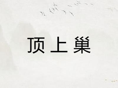 顶上巢