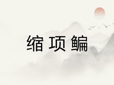 缩项鳊