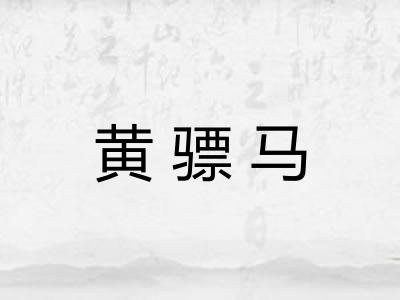 黄骠马
