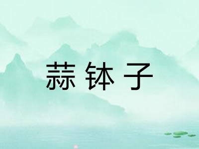 蒜钵子