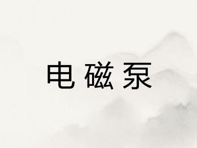 电磁泵
