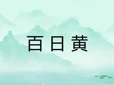 百日黄 百日黄