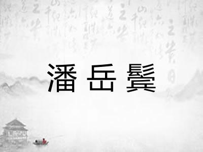 潘岳鬓