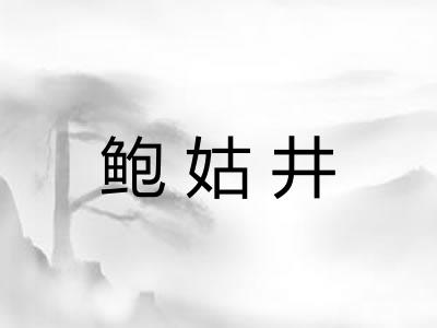 鲍姑井