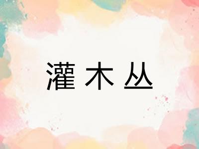 灌木丛