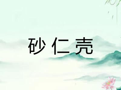 砂仁壳