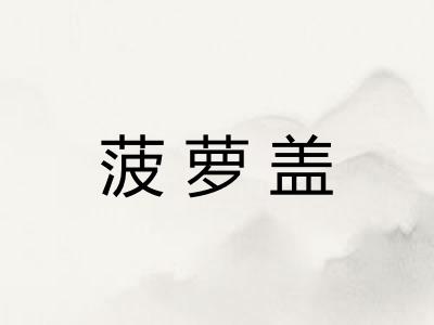 菠萝盖