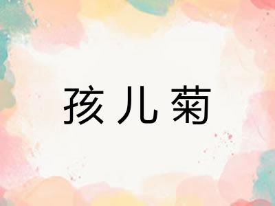 孩儿菊