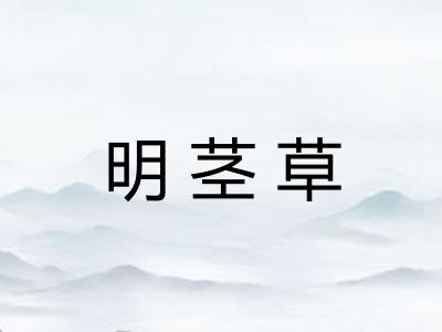 明茎草