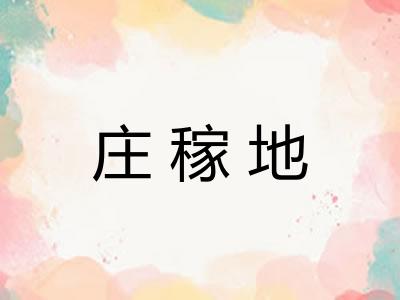 庄稼地