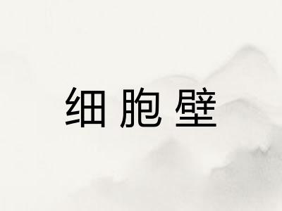 细胞壁