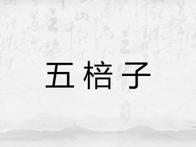 五棓子