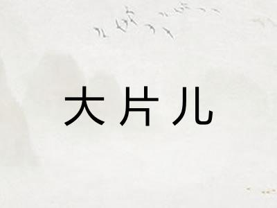 大片儿