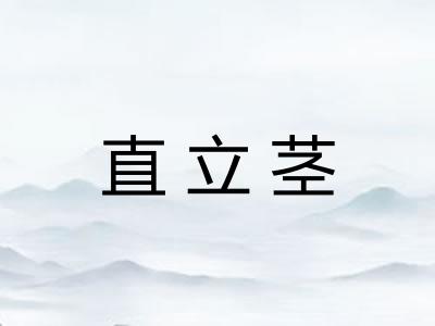直立茎