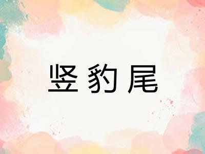 竖豹尾