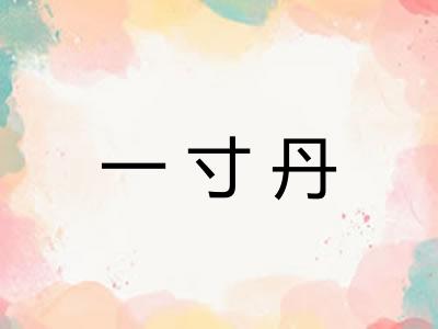一寸丹