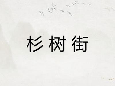 杉树街