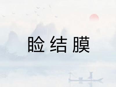睑结膜